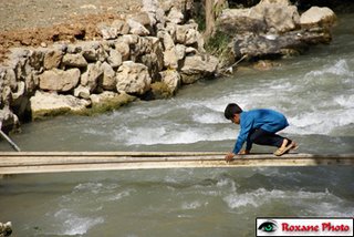 Geli Ali Beg