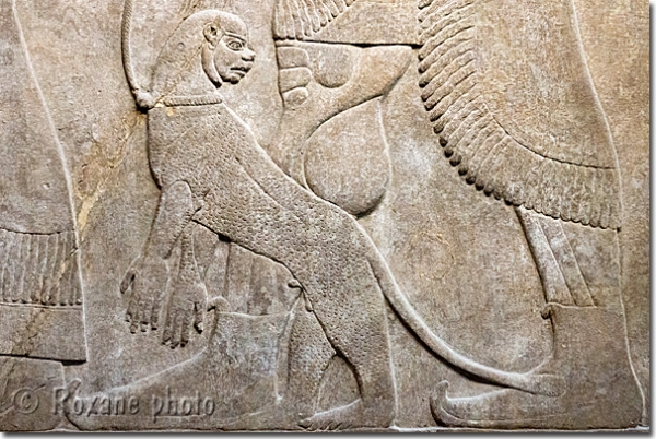 Singe - Monkey  - Nimrud - British museum - Londres - London