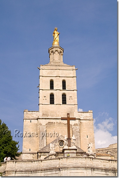 Cathédrale Notre Dame des Doms - Notre Dame des Doms cathedral - Avignon - France