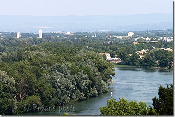 Rhône - Rhone - Avignon - France