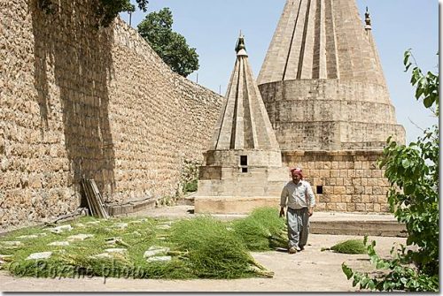 Séchage de balais en branchage sur le toit du Temple yézidi de Lalesh - Lalish Temple