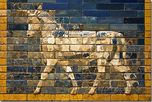 Taureau - Babylone - Bull - Babylon - Musée de Pergame - Pergamon museum - Berlin