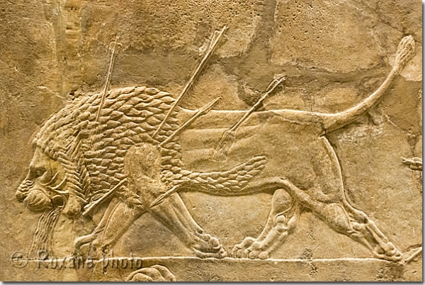  Lion agonisant - Dying lion - British museum - Londres - London