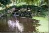 Bassin - Jardin du château d'Acquigny - Castel of Acquigny - France