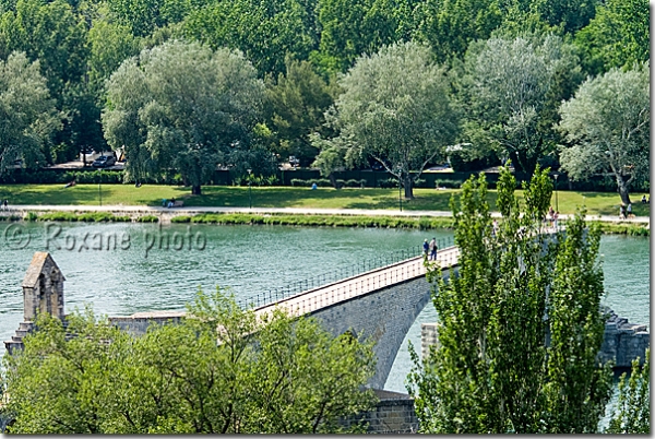 Pont saint Bénezet - Pont d'Avignon - St Benezet bridge - Avignon - France