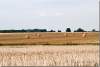 Campagne normande - Normandy countryside - Hondouville - France