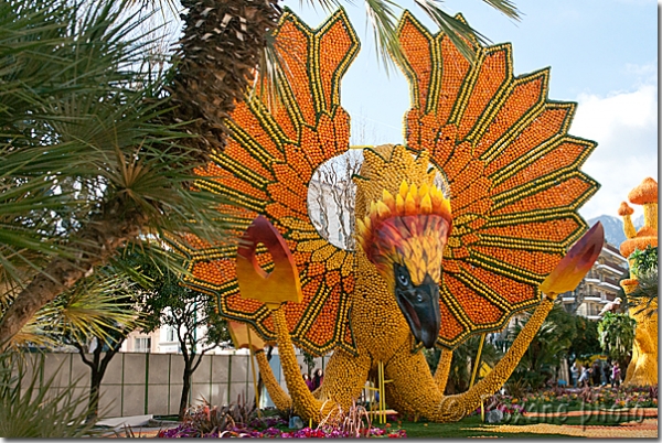 Phénix - Phoenix - Fête du citron - Menton