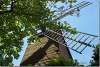 Moulin de la Galette - Montmartre - Paris