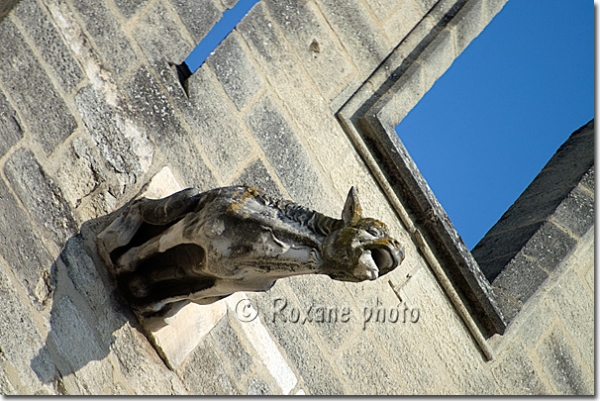 Ane gargouille - Palais des Papes - Gargoyle - Papal palace - Avignon - Vaucluse - France