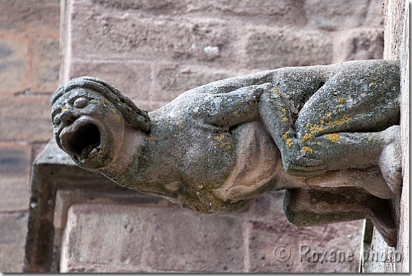 Femme gargouille - Cathédrale Notre Dame de Rodez - Woman gargoyle - Rodez - Aveyron - France