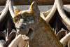 Chien gargouille - Gargoyle dog - Collégiale Notre Dame des Andelys Eure - France