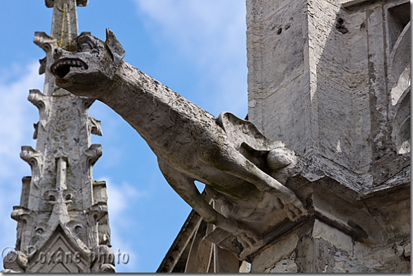 Gargouille - Gargoyle - Evreux - Eure - Normandie