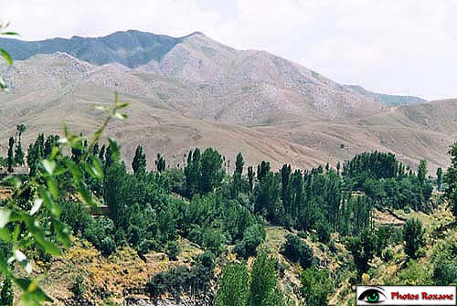 Bitlis 2002