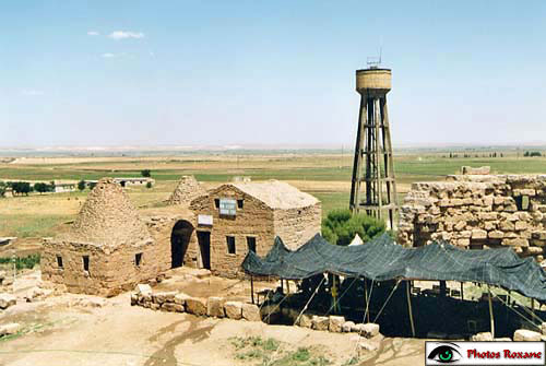 harran20