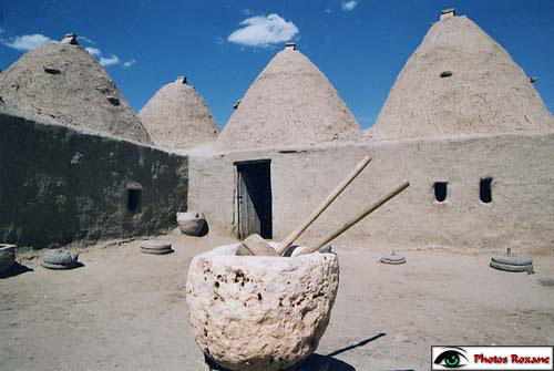 harran21