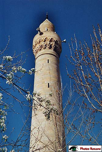 malatya18