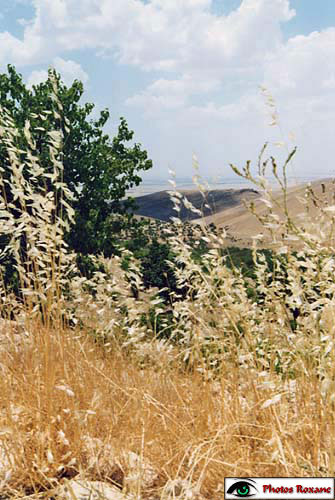 mardin01