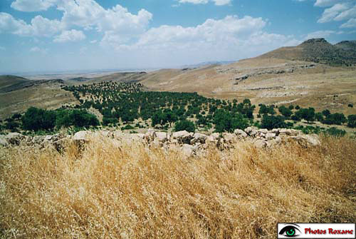 mardin19