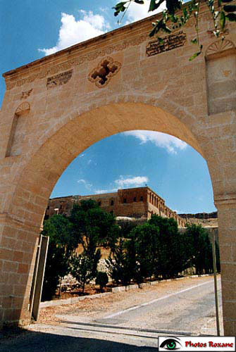 mardin55