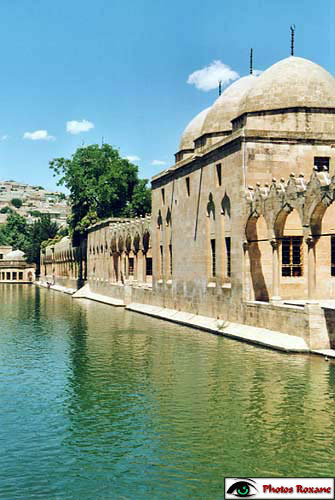 urfa55